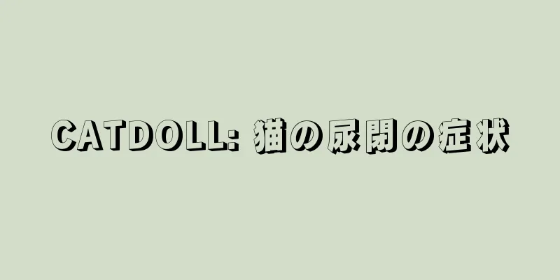 CATDOLL: 猫の尿閉の症状