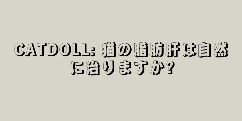CATDOLL: 猫の脂肪肝は自然に治りますか?