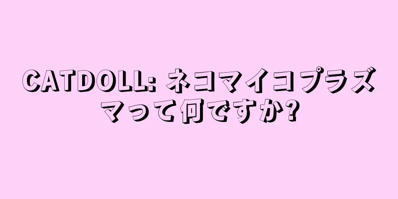 CATDOLL: ネコマイコプラズマって何ですか?