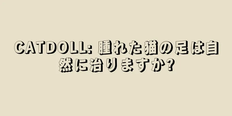 CATDOLL: 腫れた猫の足は自然に治りますか?