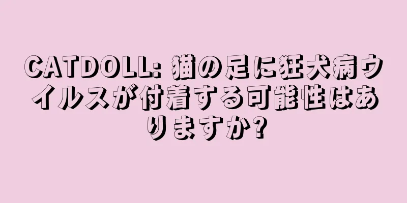 CATDOLL: 猫の足に狂犬病ウイルスが付着する可能性はありますか?