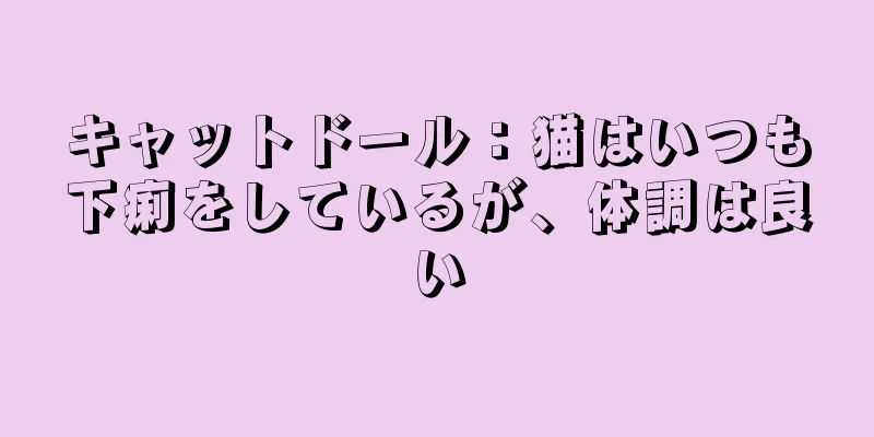 キャットドール：猫はいつも下痢をしているが、体調は良い