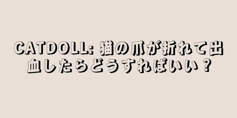 CATDOLL: 猫の爪が折れて出血したらどうすればいい？