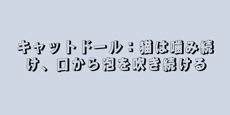 キャットドール：猫は噛み続け、口から泡を吹き続ける