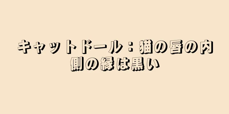 キャットドール：猫の唇の内側の縁は黒い