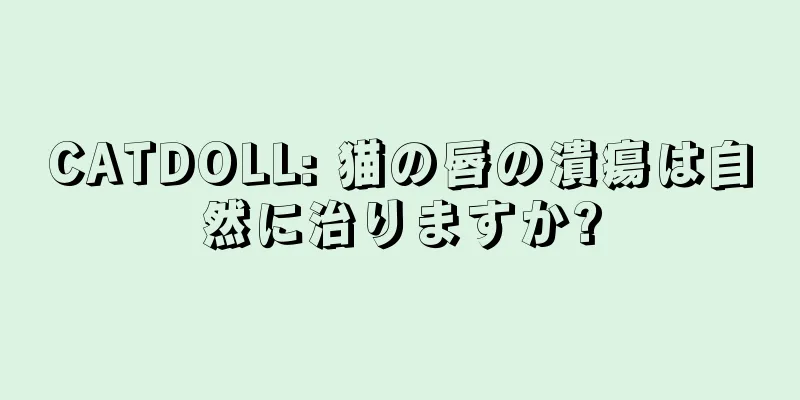 CATDOLL: 猫の唇の潰瘍は自然に治りますか?