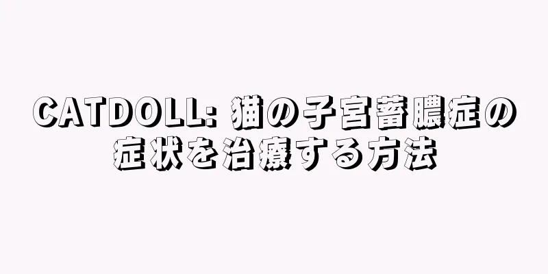 CATDOLL: 猫の子宮蓄膿症の症状を治療する方法