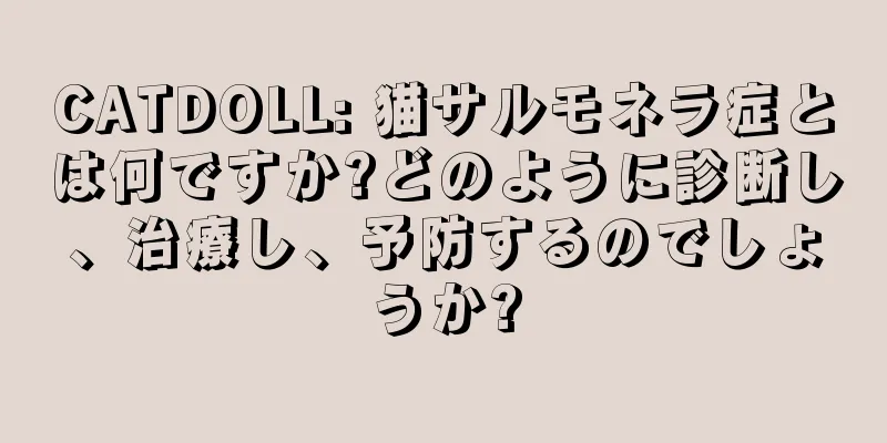 CATDOLL: 猫サルモネラ症とは何ですか?どのように診断し、治療し、予防するのでしょうか?