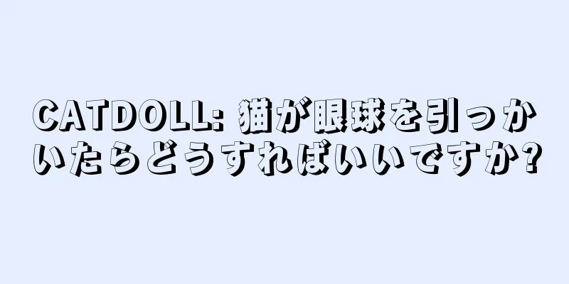 CATDOLL: 猫が眼球を引っかいたらどうすればいいですか?