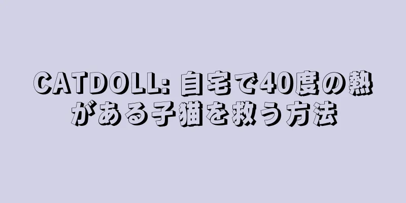CATDOLL: 自宅で40度の熱がある子猫を救う方法