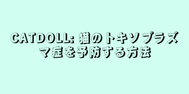 CATDOLL: 猫のトキソプラズマ症を予防する方法