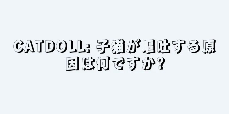 CATDOLL: 子猫が嘔吐する原因は何ですか?