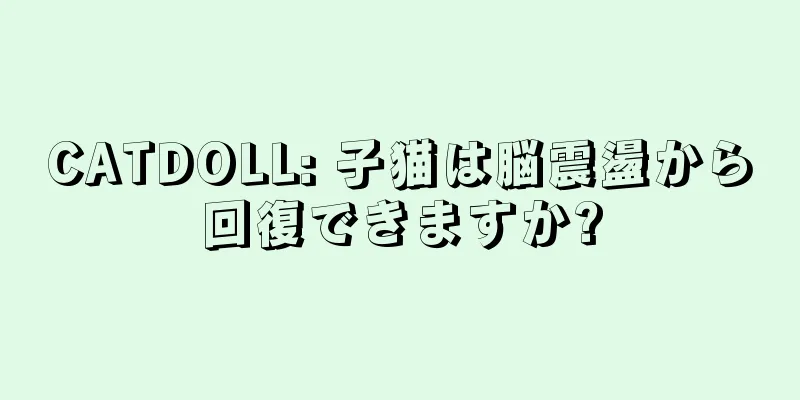 CATDOLL: 子猫は脳震盪から回復できますか?