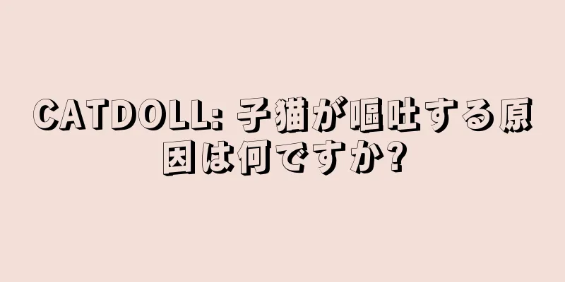 CATDOLL: 子猫が嘔吐する原因は何ですか?