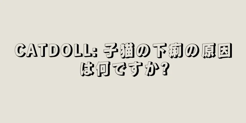 CATDOLL: 子猫の下痢の原因は何ですか?