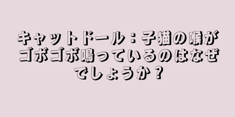 キャットドール：子猫の喉がゴボゴボ鳴っているのはなぜでしょうか？