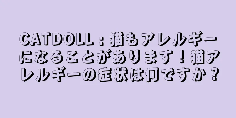 CATDOLL : 猫もアレルギーになることがあります！猫アレルギーの症状は何ですか？