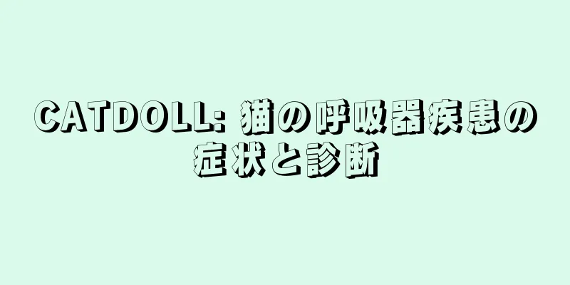 CATDOLL: 猫の呼吸器疾患の症状と診断