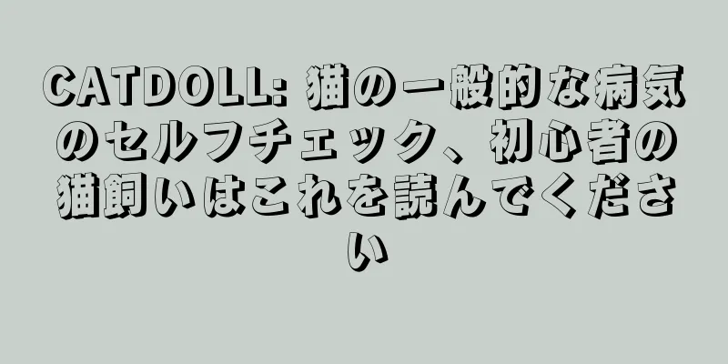CATDOLL: 猫の一般的な病気のセルフチェック、初心者の猫飼いはこれを読んでください