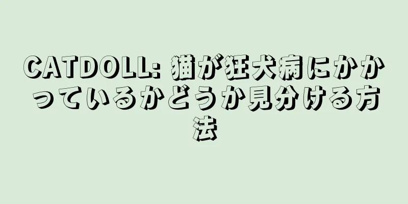 CATDOLL: 猫が狂犬病にかかっているかどうか見分ける方法