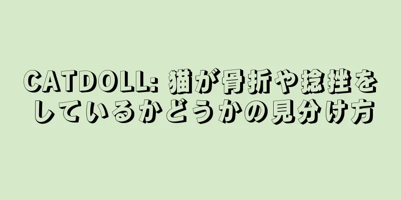 CATDOLL: 猫が骨折や捻挫をしているかどうかの見分け方