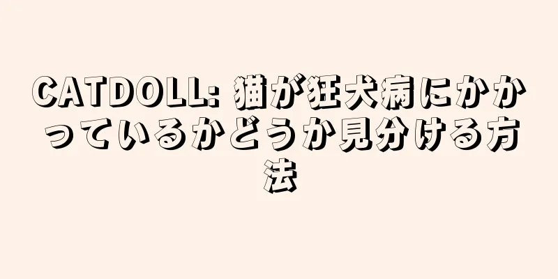CATDOLL: 猫が狂犬病にかかっているかどうか見分ける方法