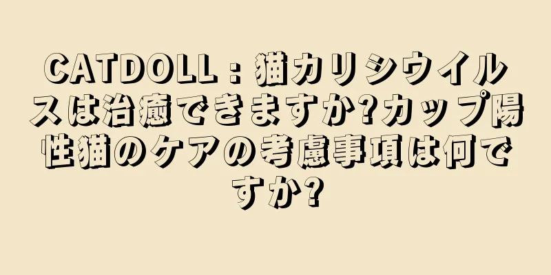 CATDOLL : 猫カリシウイルスは治癒できますか?カップ陽性猫のケアの考慮事項は何ですか?