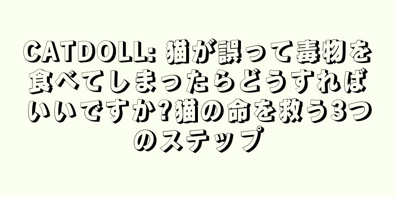 CATDOLL: 猫が誤って毒物を食べてしまったらどうすればいいですか?猫の命を救う3つのステップ