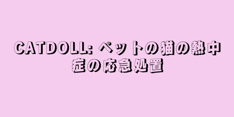 CATDOLL: ペットの猫の熱中症の応急処置