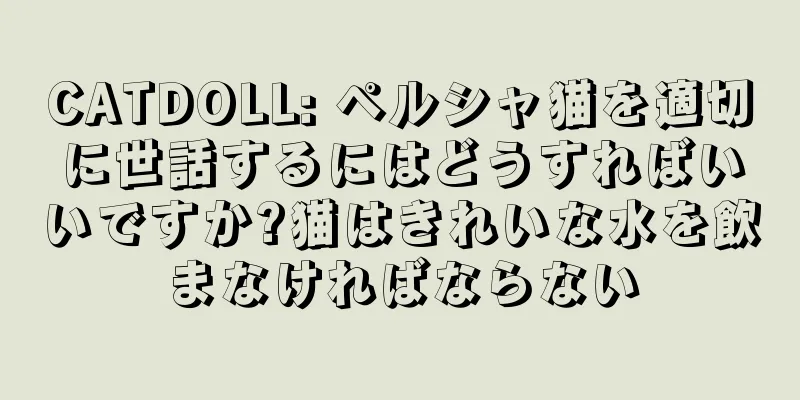 CATDOLL: ペルシャ猫を適切に世話するにはどうすればいいですか?猫はきれいな水を飲まなければならない