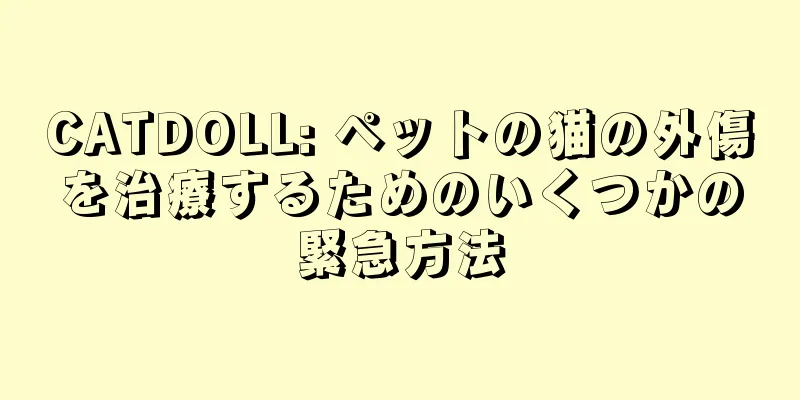 CATDOLL: ペットの猫の外傷を治療するためのいくつかの緊急方法