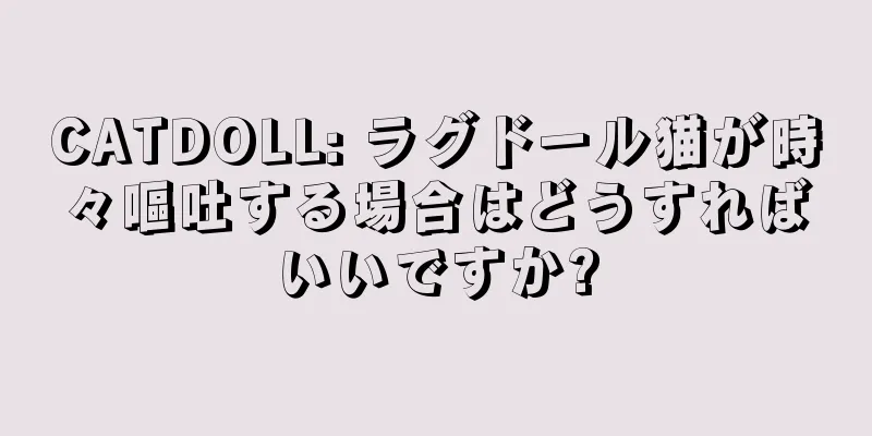 CATDOLL: ラグドール猫が時々嘔吐する場合はどうすればいいですか?
