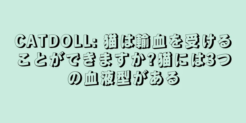 CATDOLL: 猫は輸血を受けることができますか?猫には3つの血液型がある