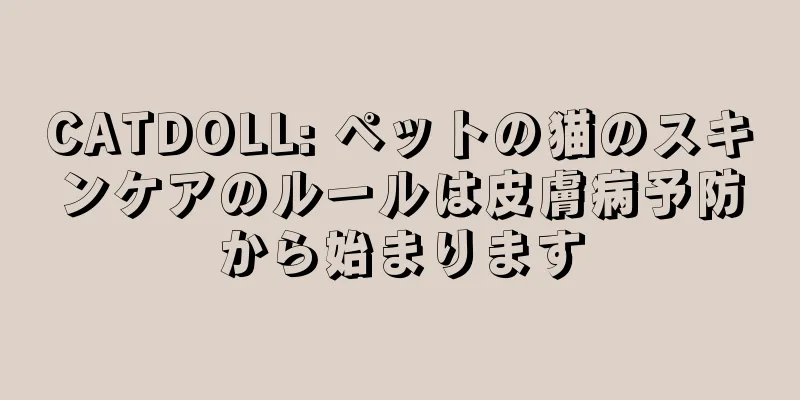 CATDOLL: ペットの猫のスキンケアのルールは皮膚病予防から始まります