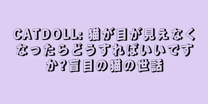 CATDOLL: 猫が目が見えなくなったらどうすればいいですか?盲目の猫の世話
