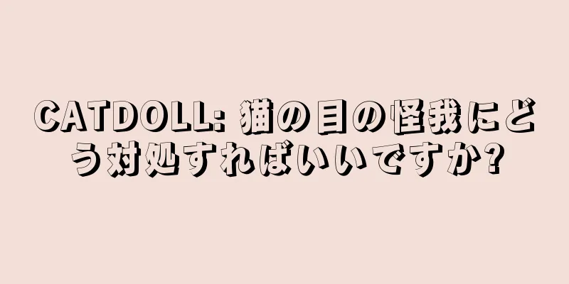 CATDOLL: 猫の目の怪我にどう対処すればいいですか?