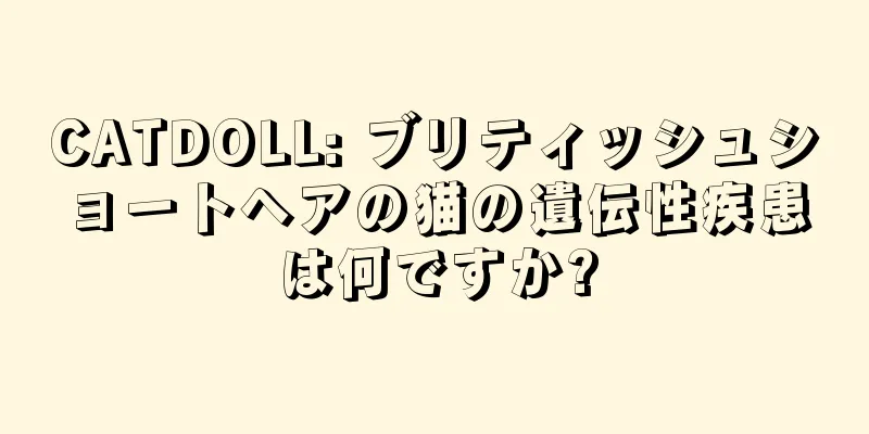 CATDOLL: ブリティッシュショートヘアの猫の遺伝性疾患は何ですか?