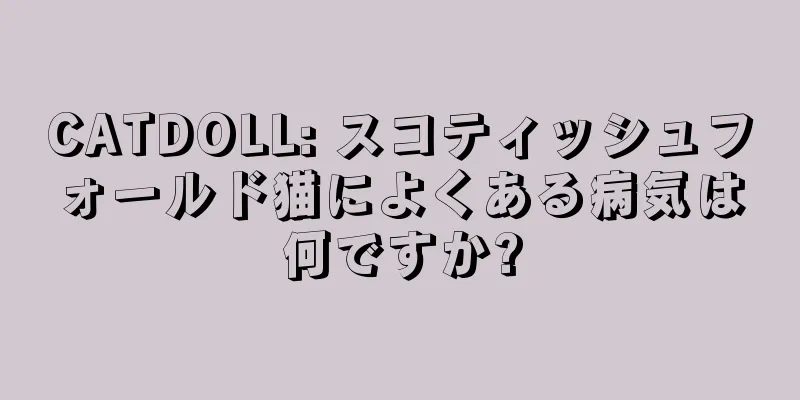 CATDOLL: スコティッシュフォールド猫によくある病気は何ですか?