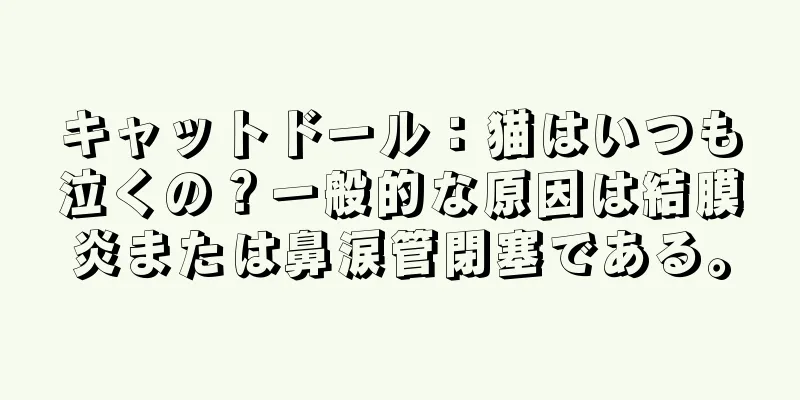 キャットドール：猫はいつも泣くの？一般的な原因は結膜炎または鼻涙管閉塞である。