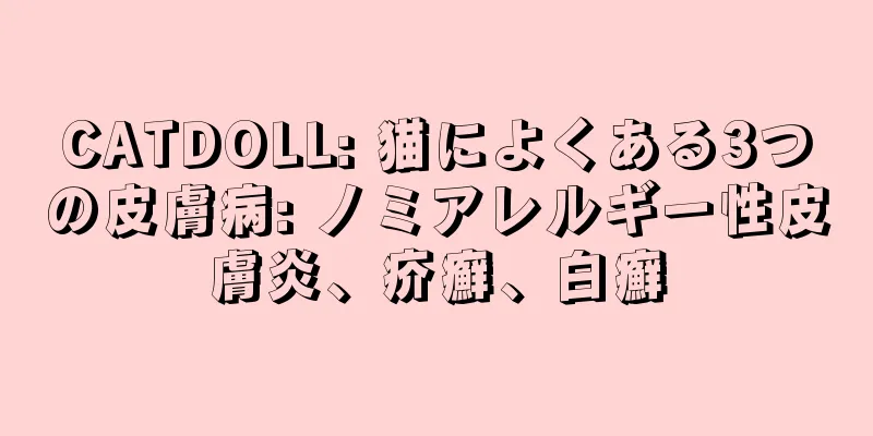 CATDOLL: 猫によくある3つの皮膚病: ノミアレルギー性皮膚炎、疥癬、白癬