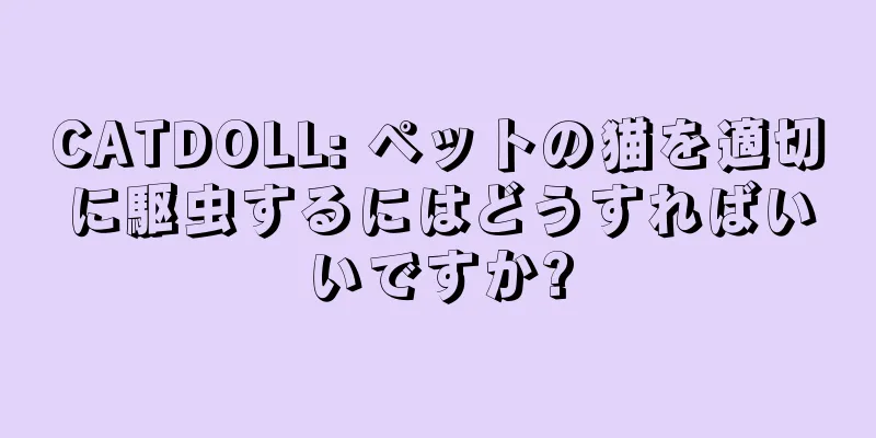 CATDOLL: ペットの猫を適切に駆虫するにはどうすればいいですか?