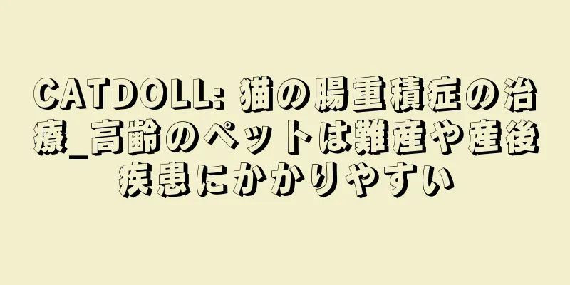 CATDOLL: 猫の腸重積症の治療_高齢のペットは難産や産後疾患にかかりやすい