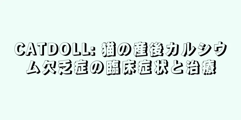 CATDOLL: 猫の産後カルシウム欠乏症の臨床症状と治療