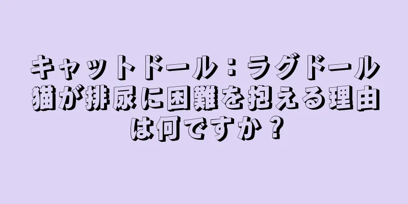 キャットドール：ラグドール猫が排尿に困難を抱える理由は何ですか？