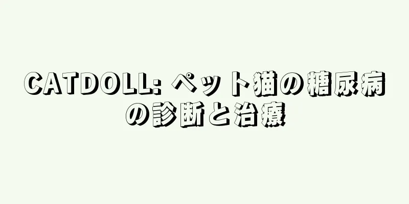CATDOLL: ペット猫の糖尿病の診断と治療