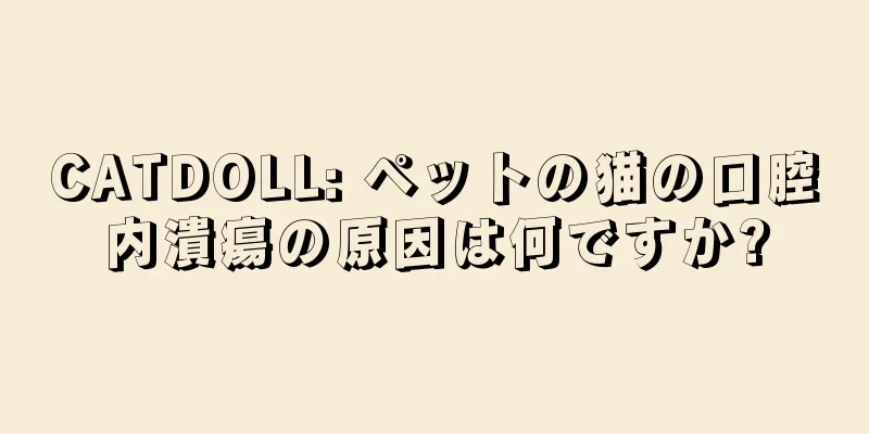 CATDOLL: ペットの猫の口腔内潰瘍の原因は何ですか?