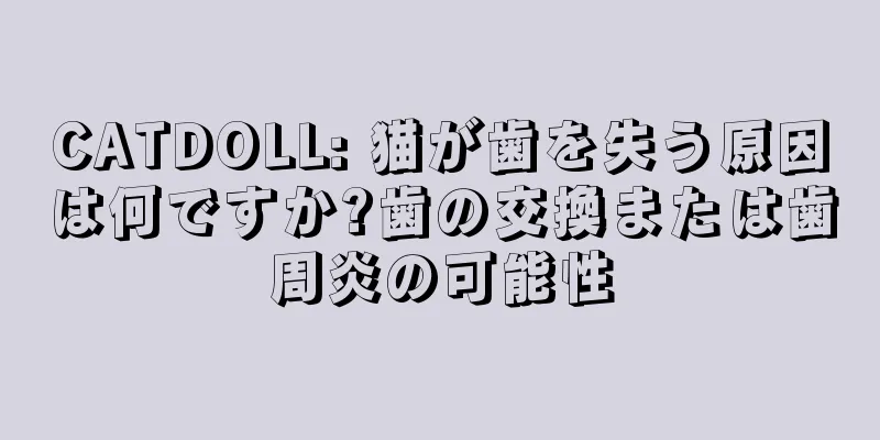 CATDOLL: 猫が歯を失う原因は何ですか?歯の交換または歯周炎の可能性
