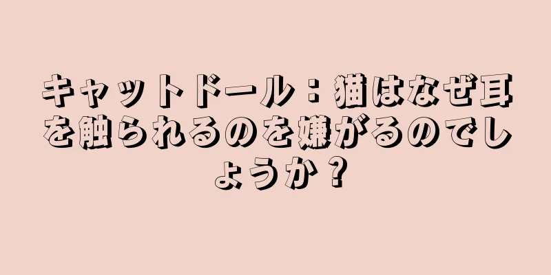 キャットドール：猫はなぜ耳を触られるのを嫌がるのでしょうか？