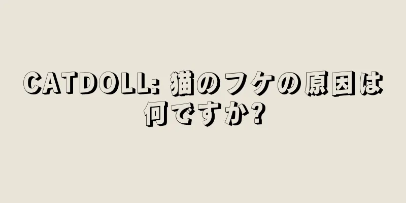CATDOLL: 猫のフケの原因は何ですか?