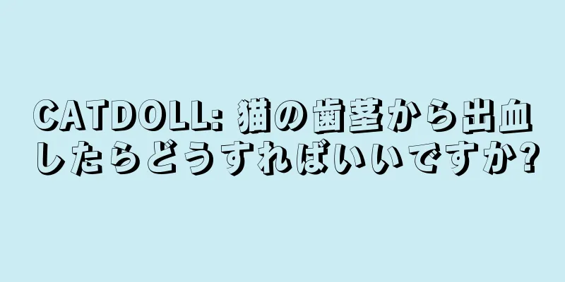 CATDOLL: 猫の歯茎から出血したらどうすればいいですか?